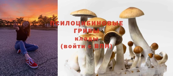 ПСИЛОЦИБИНОВЫЕ ГРИБЫ Богородицк