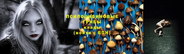 ПСИЛОЦИБИНОВЫЕ ГРИБЫ Богородицк