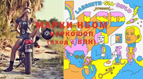 прущий лед Аркадак